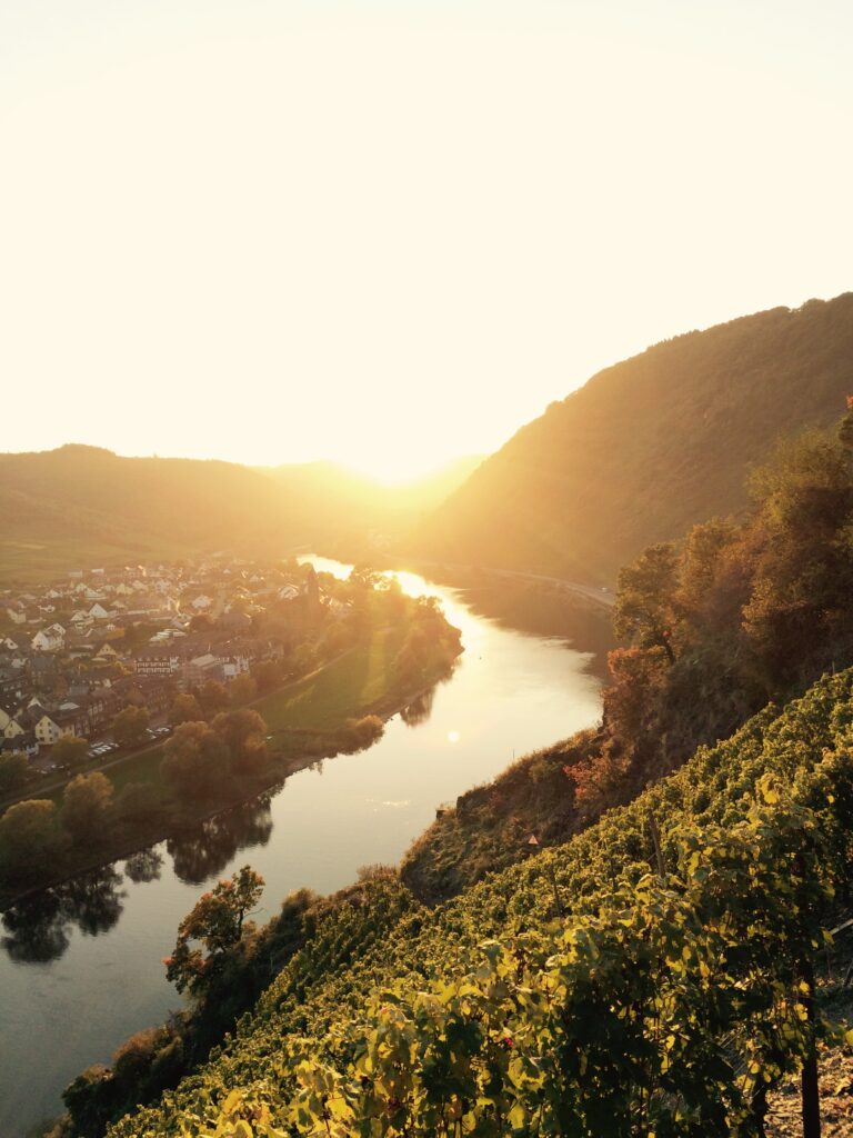 foto 11.10.15, 18 22 46